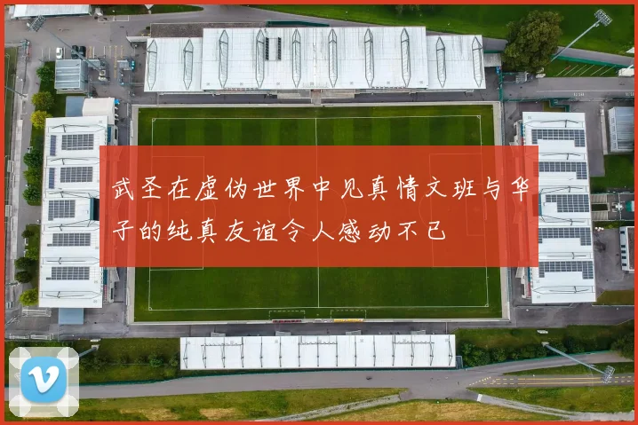武圣在虚伪世界中见真情文班与华子的纯真友谊令人感动不已